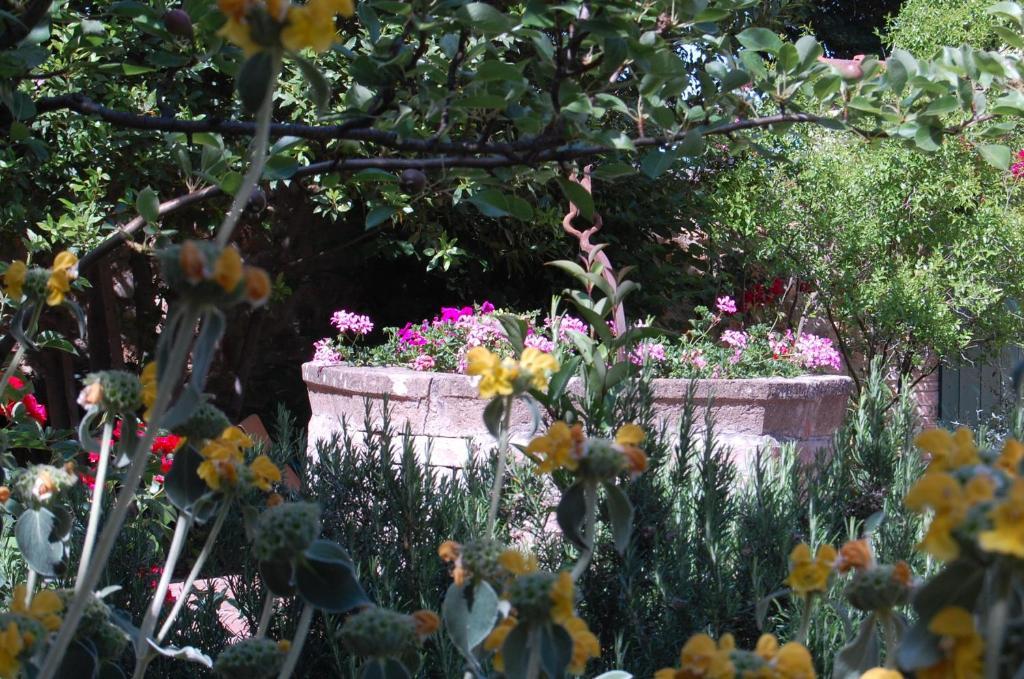 Hotel Il Giardino Segreto Pienza Exterior foto